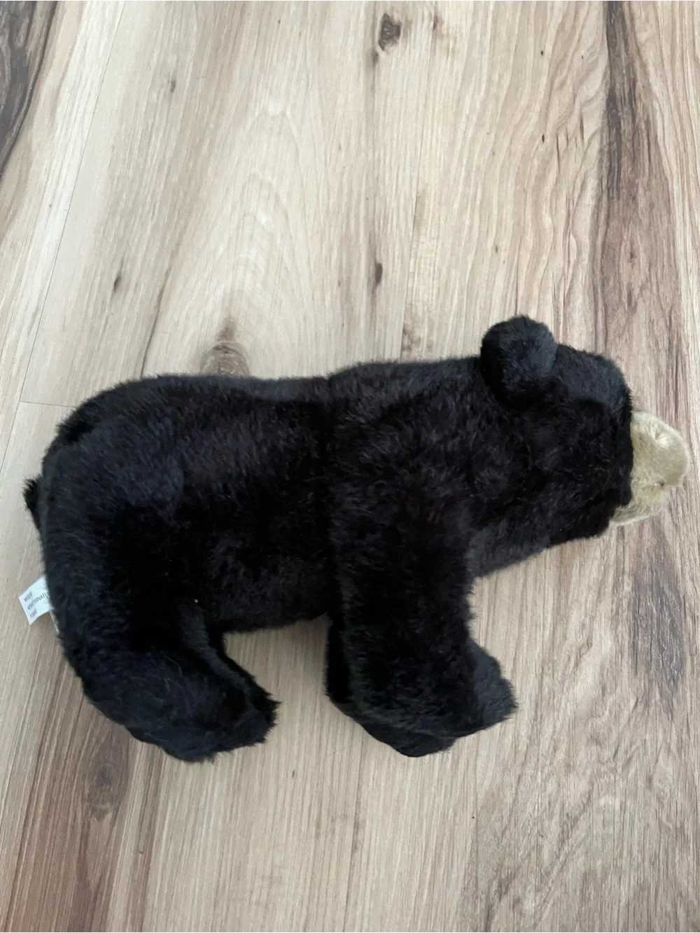 Ganz Webkinz Signature Black Bear WKSS2002 10